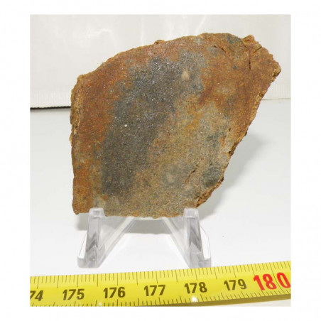 Tranche de Meteorite NWA 4420 ( Achondrite - 61 grams - 038  )