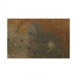 Tranche de Meteorite NWA 4420 ( Achondrite - 61 grams - 038  )