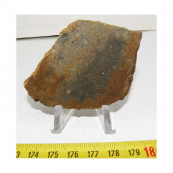 Tranche de Meteorite NWA 4420 ( Achondrite - 185 grams - 040  )