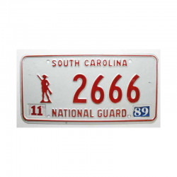 Plaque d Immatriculation USA - South Carolina ( 307 )