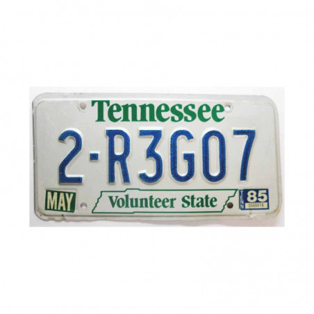 Plaque d Immatriculation USA - Tennessee ( 295 )