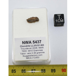 Talon de Météorite NWA 5437...