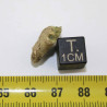 Fragment de trinitite dans une boite - Verre d Alamogordo ( USA - 0.81 grammes - 031 * )