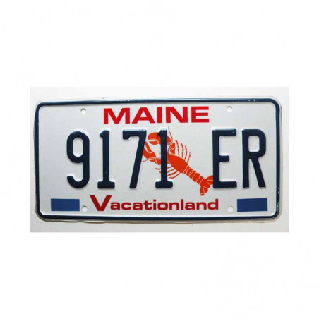 Plaque d Immatriculation USA - Maine ( 373 )