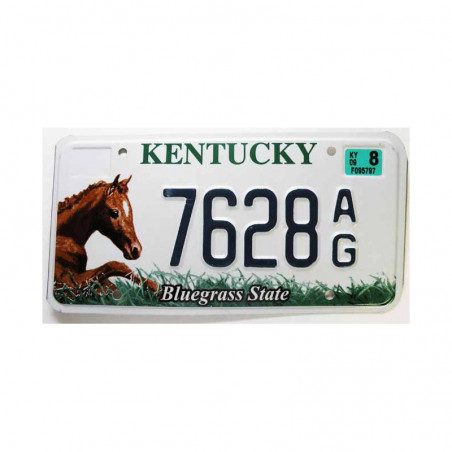 Plaque d Immatriculation USA - Kentucky ( 487 )