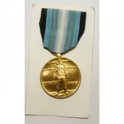 Decoration / Medaille USA Antarctic service ( 061 )