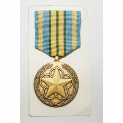 Decoration / Medaille Volunteer service ( 057 )