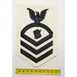 1 Patch original US Specialiste Personnel Vietnam era ( 122 )