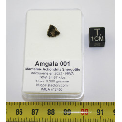 Talon de météorite Amgala...