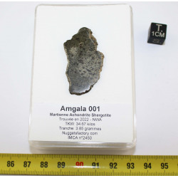 Tranche de météorite Amgala...