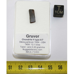 Talon de météorite Gruver...