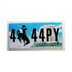 Plaque d Immatriculation USA - Wyoming ( 534 )