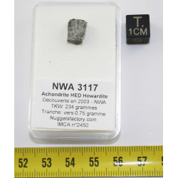 Tranche de météorite NWA...