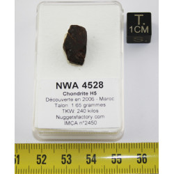 Talon de météorite NWA 4528...