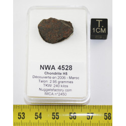 Talon de météorite NWA 4528...