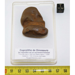 1Coprolithe de Dinosaure...