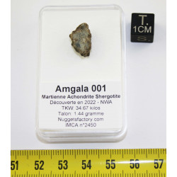 Talon de météorite Amgala...