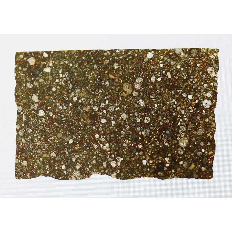 Lame mince de météorite NWA 6445 - chondrite CV3 (NWA - 001*)
