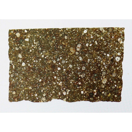 Lame mince de météorite NWA 6445 - chondrite CV3 (NWA - 001*)