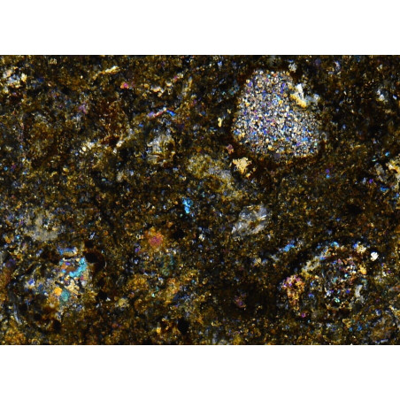 Lame mince de météorite NWA 8190 - chondrite carbonée CK3 (NWA - 029*)