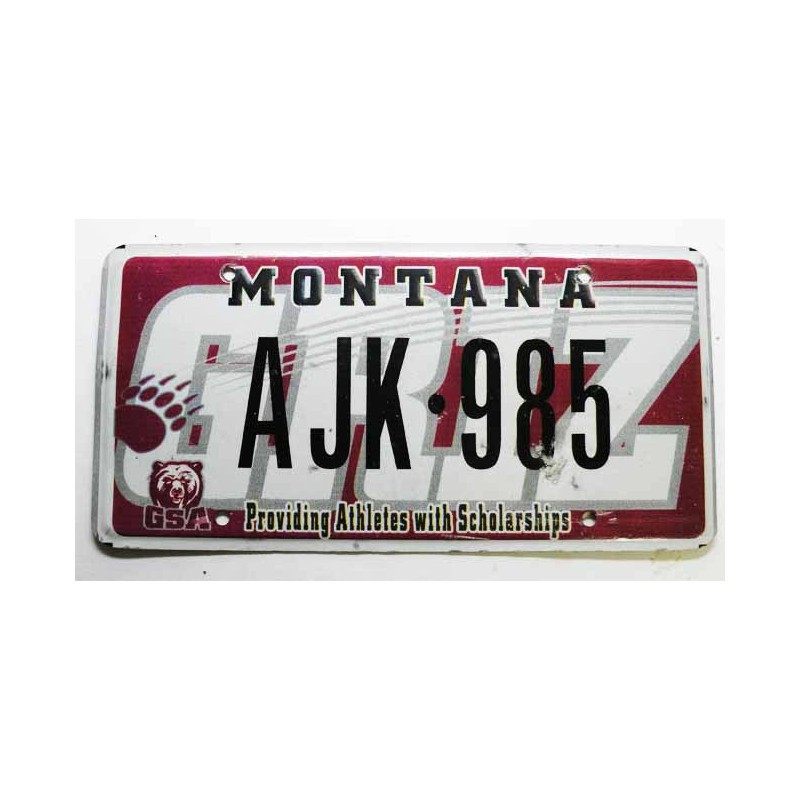 Plaque d Immatriculation USA - Montana ( 558 )