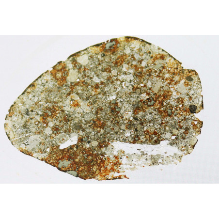 Lame mince de météorite NWA 869 - chondrite L3-6 (NWA - 005*)