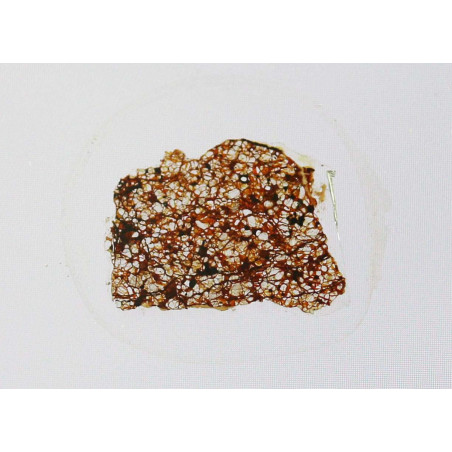 Lame mince de météorite NWA 5920 - achondrite brachinite (NWA - 006*)