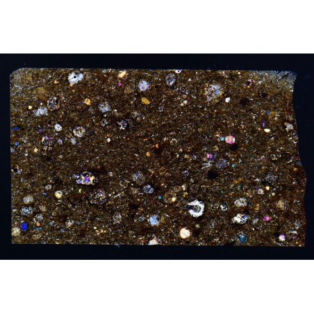 Lame mince de météorite NWA 13246 - chondrite carbonée CK3 (NWA - 032*)