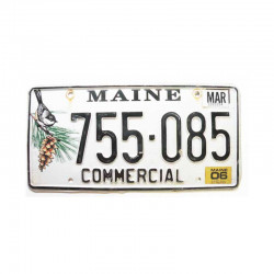 Plaque d Immatriculation USA - Maine ( 552 )