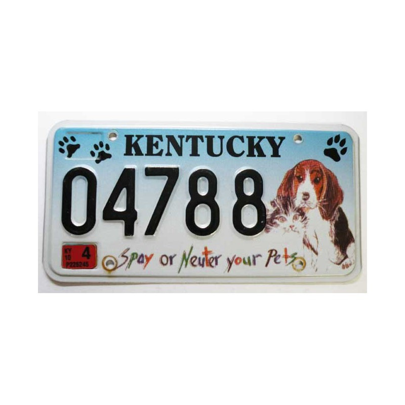 Plaque d Immatriculation USA - Kentucky ( 551 )