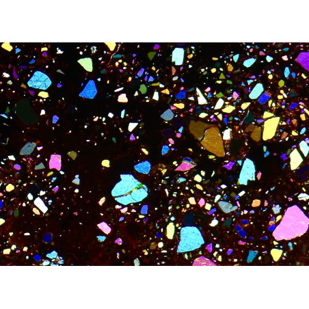 Lame mince de météorite Sericho - Pallasite (Kenya - 033*)