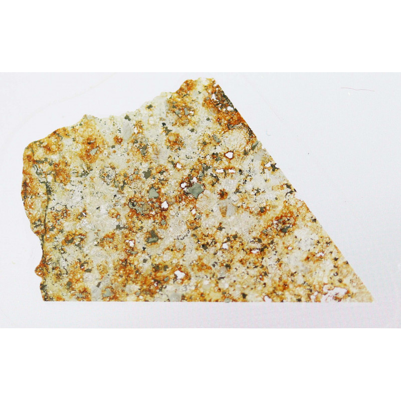 Lame mince de météorite NWA 6284 - chondrite L5 (NWA - 008*) Lame mince de météorite NWA 6284 - chondrite L5 (NWA - 008*)