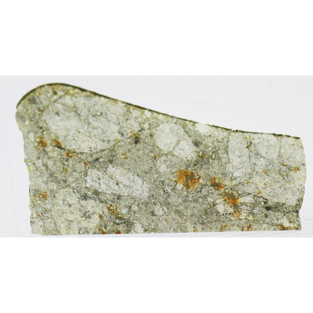 Lame mince de météorite NWA 1685 - chondrite LL4 (NWA - 009*)