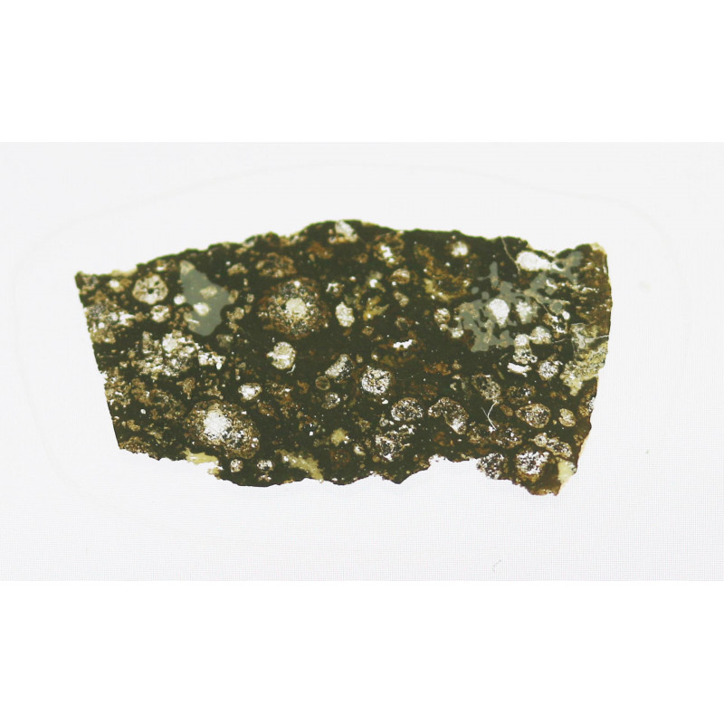 Lame mince de météorite NWA 5736 - chondrite carbonée CV3 (NWA - 010*) Lame mince de météorite NWA 5736 - chondrite carbonée CV3 (NWA - 010*)