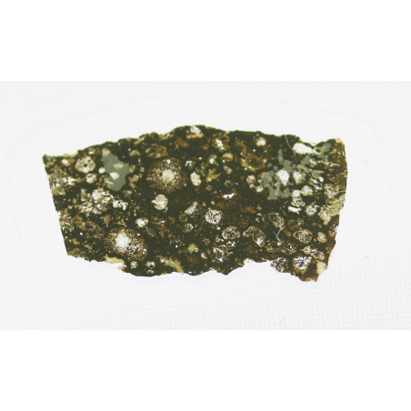 Lame mince de météorite NWA 5736 - chondrite carbonée CV3 (NWA - 010*)