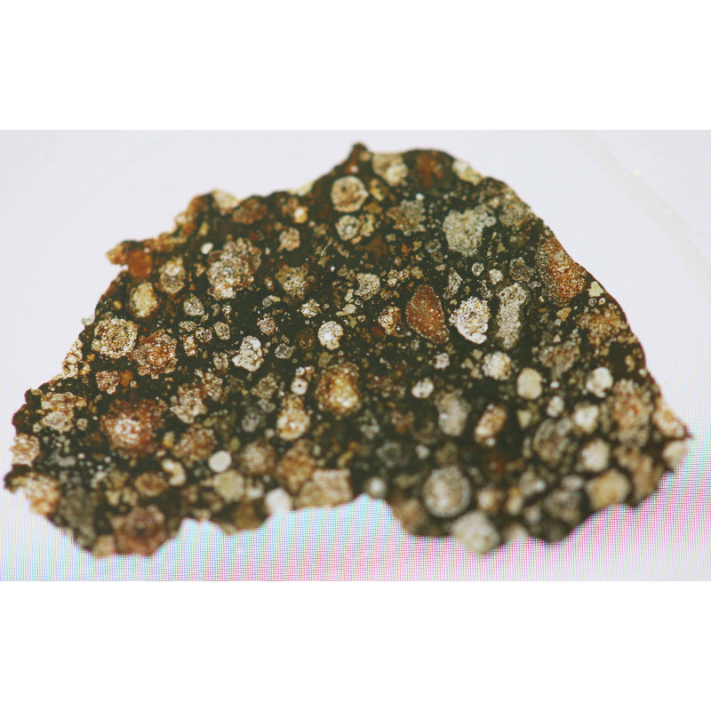 Lame mince de météorite NWA 7865 - chondrite carbonée CV3 (NWA - 011)