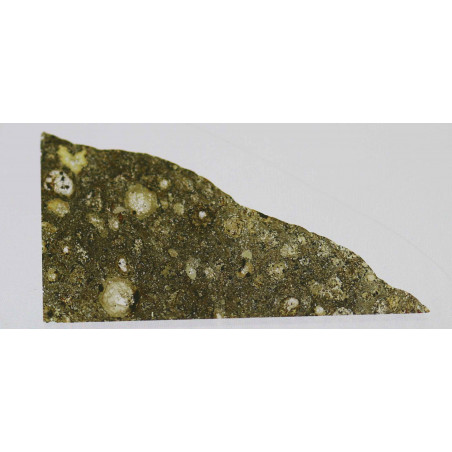 Lame mince de météorite NWA 2900 - chondrite carbonée CV3 (NWA - 012)