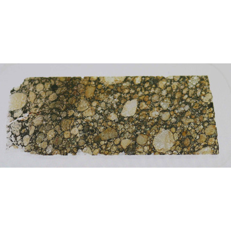 Lame mince de météorite NWA 6321 - chondrite L3 (NWA - 013)
