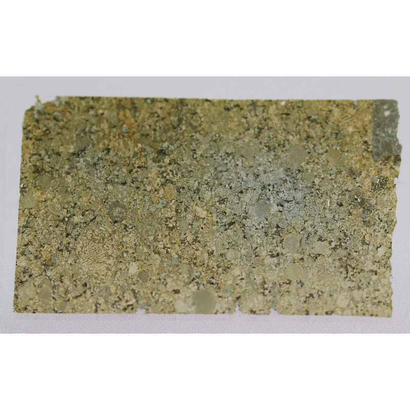 Lame mince de météorite Renfrow - Chondrite L 6 (USA - 014) Lame mince de météorite Renfrow - Chondrite L 6 (USA - 014)