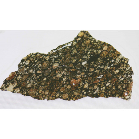 Lame mince de météorite NWA 6368 - Chondrite carbonée CV3  (NWA - 015)