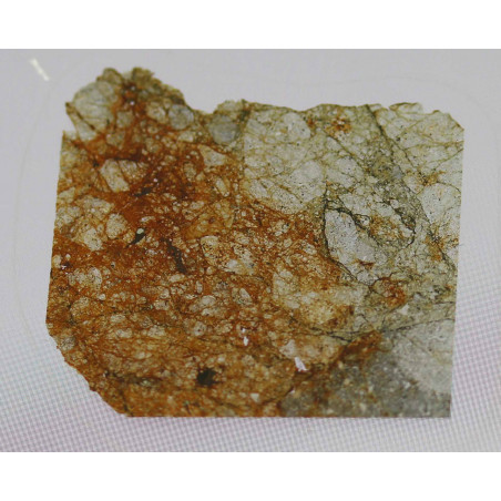 Lame mince de météorite NWA 6042 - Chondrite LL6  (NWA - 016)