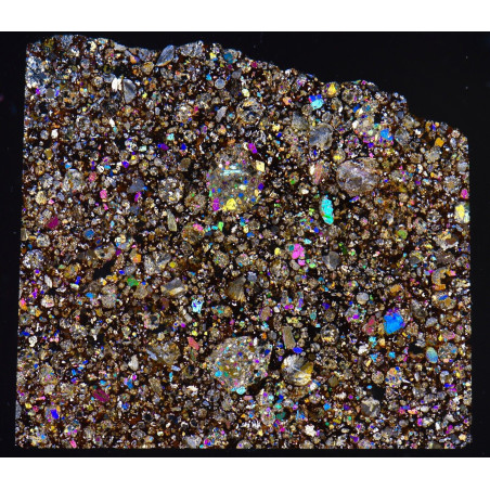 Lame mince de météorite Boura - Chondrite H4-S1-W3 (NWA - 044*)