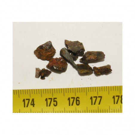 Meteorite Pallasovka - Pallasite ( 2.00 grs - 008 )