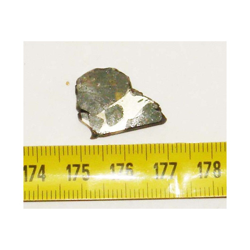 Meteorite Pallasovka - Pallasite ( 2.10 grs - 002 )