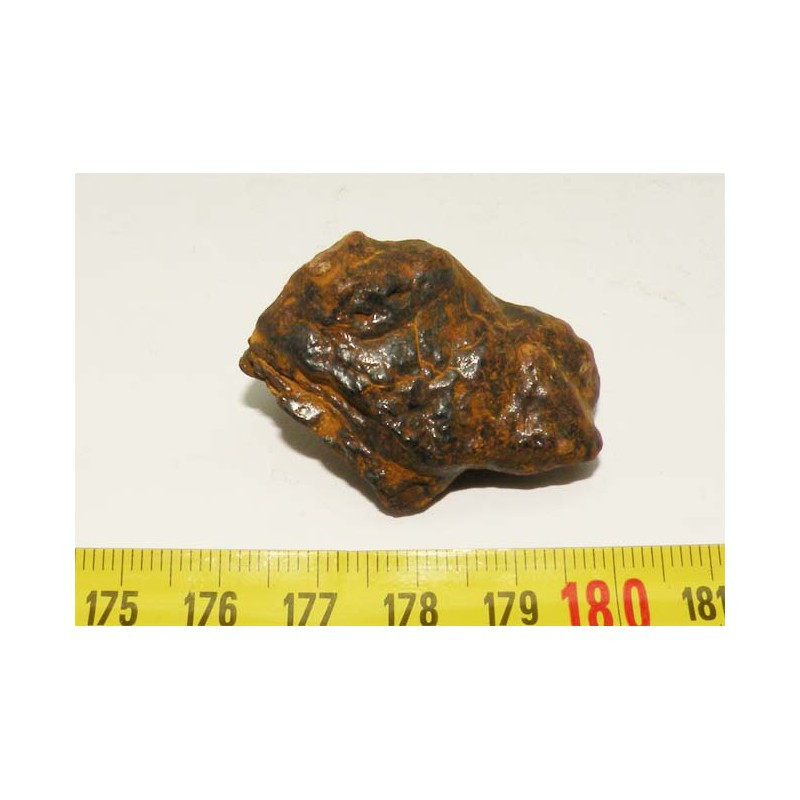 Meteorites Nantan Chine ( IIICD - 21.95 grs - 015 )