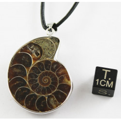 Collier avec 1/2 Ammonite...