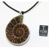 Collier avec 1/2 Ammonite de Madagascar Sciée et polie (016**)