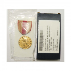 Decoration / Medaille USA Marine corps ( B-008 )