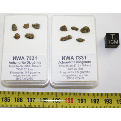 Fragments de NWA 7831...