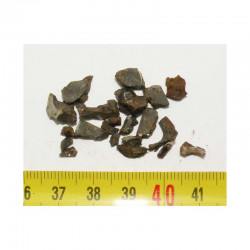 Lot de Meteorites Brenham- Pallasite ( 5.00 grs - 005 )